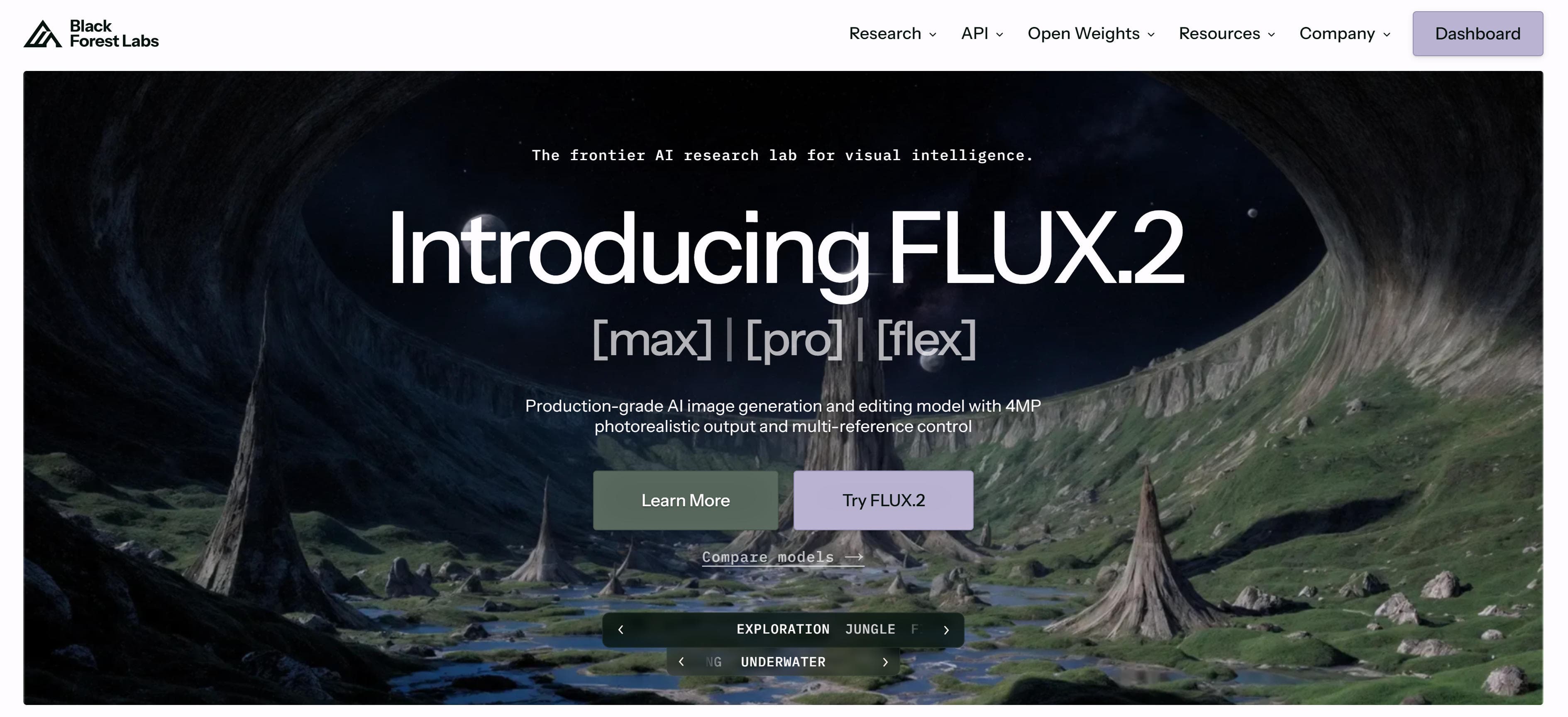 Flux Kontext (Black Forest Labs) image editing model interface showing image-to-image editing and creative expression