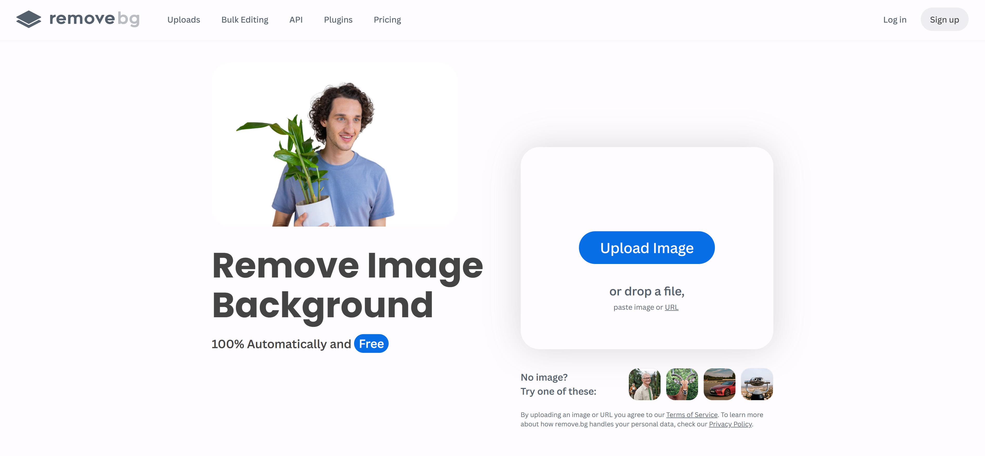 remove.bg interface showing one-click background removal with high precision